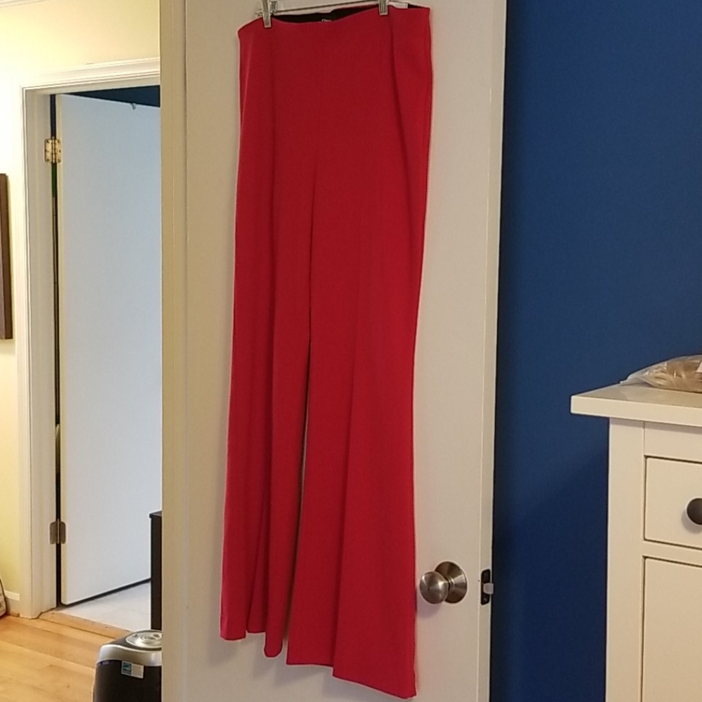 Pull on express pants